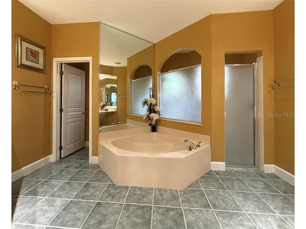 14007 Islamorada Drive Orlando FL 32837 O6336724 image18