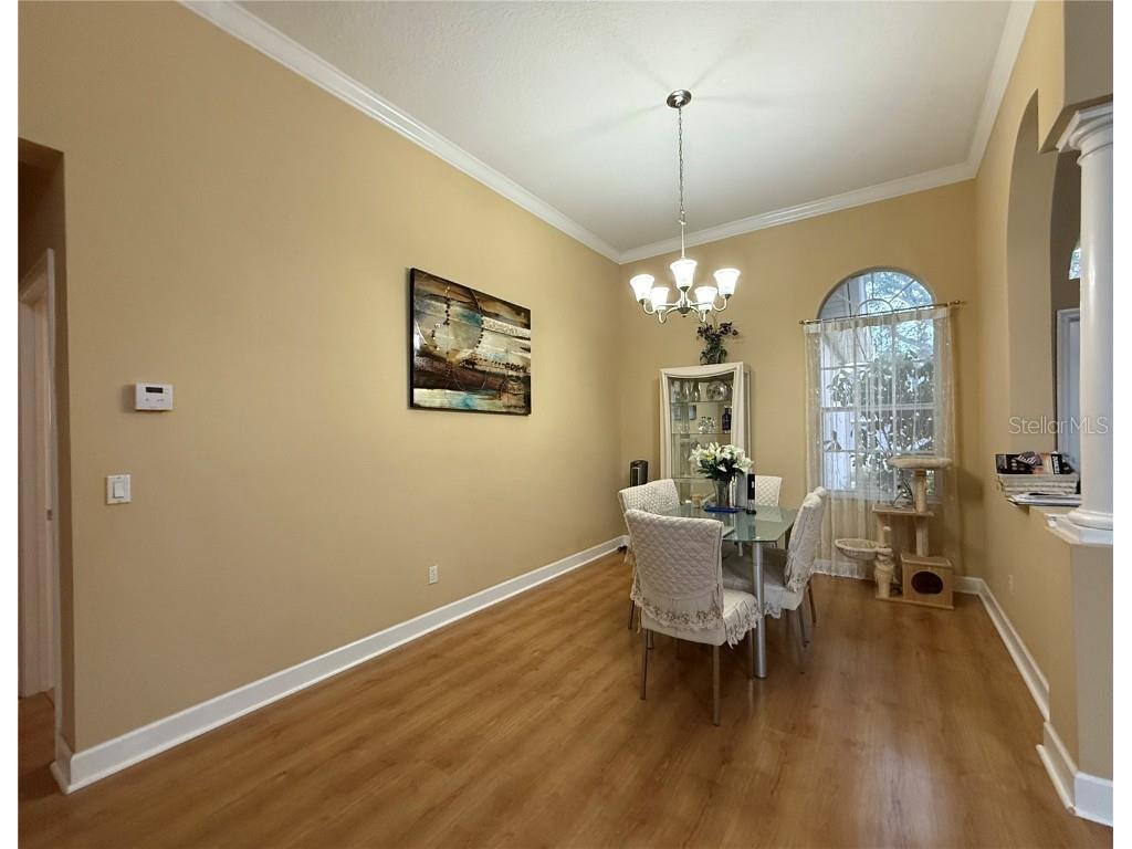 14007 Islamorada Drive Orlando FL 32837 O6336724 image6