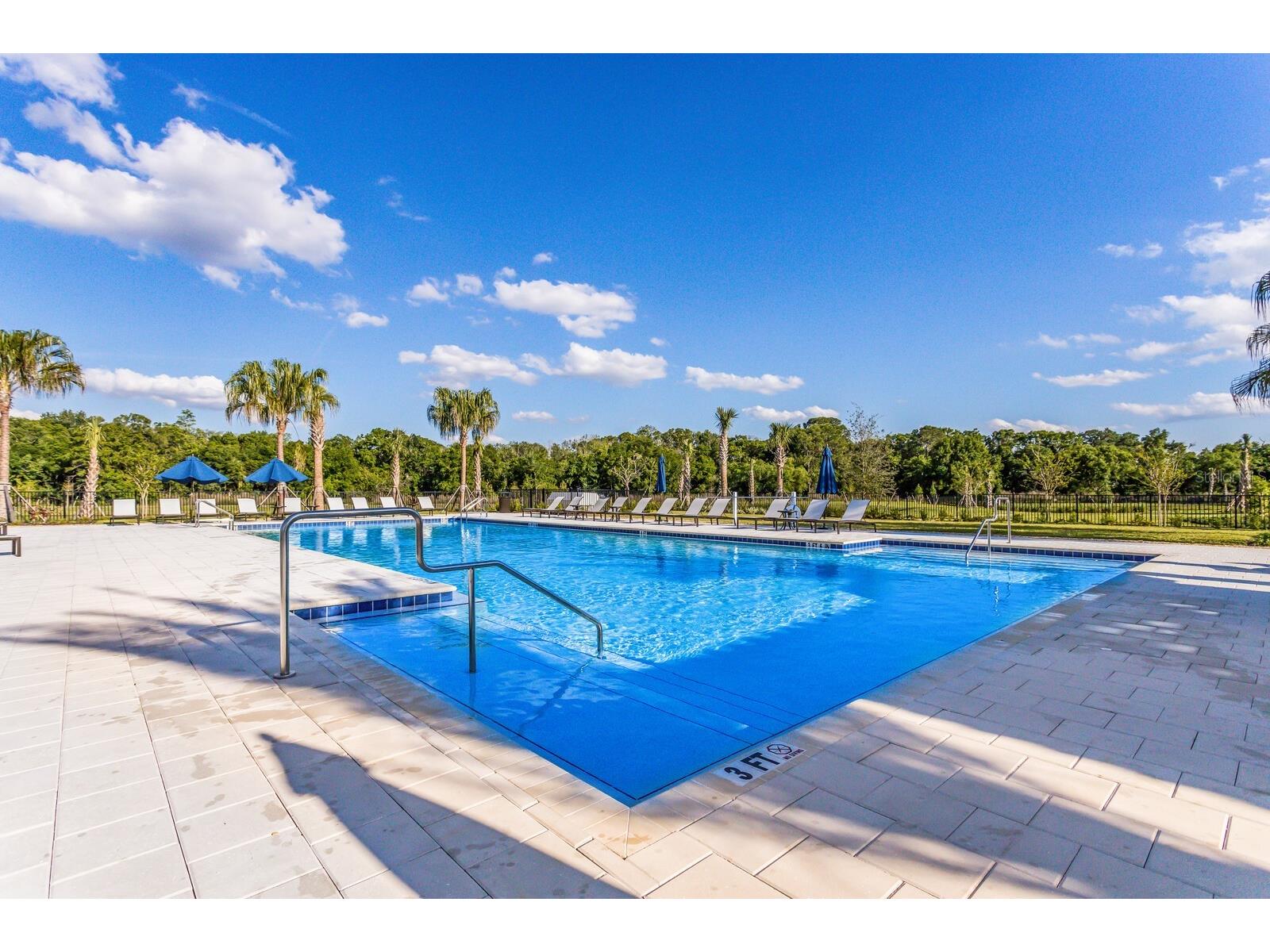 14008 Green Hammock Place Lakewood Ranch FL 34211 A4677739 image83