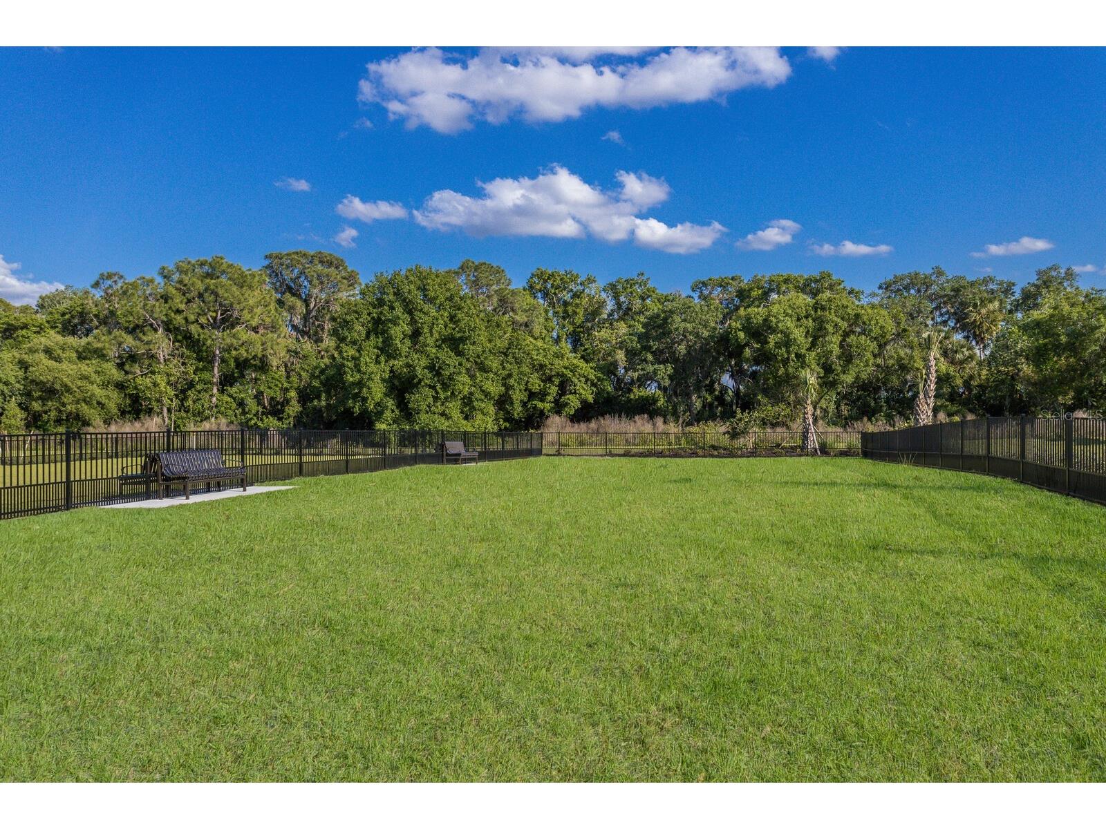 14008 Green Hammock Place Lakewood Ranch FL 34211 A4677739 image91