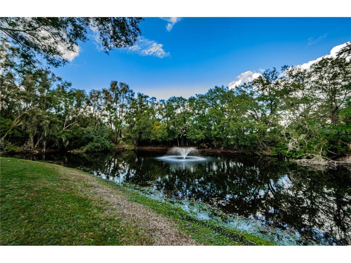 14008 N Boulevard Tampa FL 33613 U8218616 image1