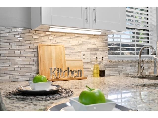14009 Dominion Court Tampa FL 33613 O6370632 image30