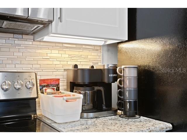 14009 Dominion Court Tampa FL 33613 O6370632 image33