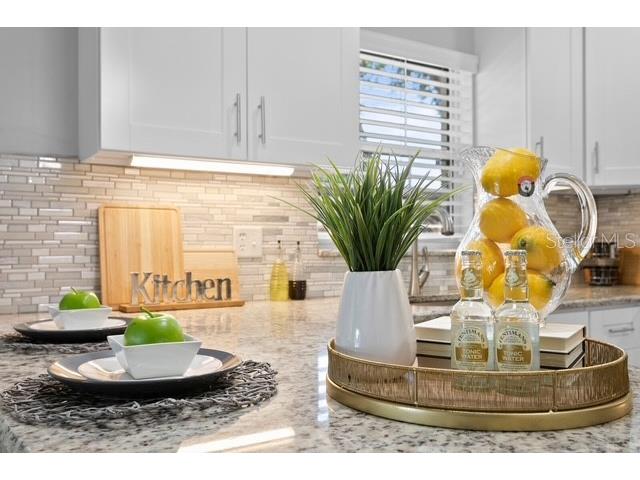 14009 Dominion Court Tampa FL 33613 O6370632 image34
