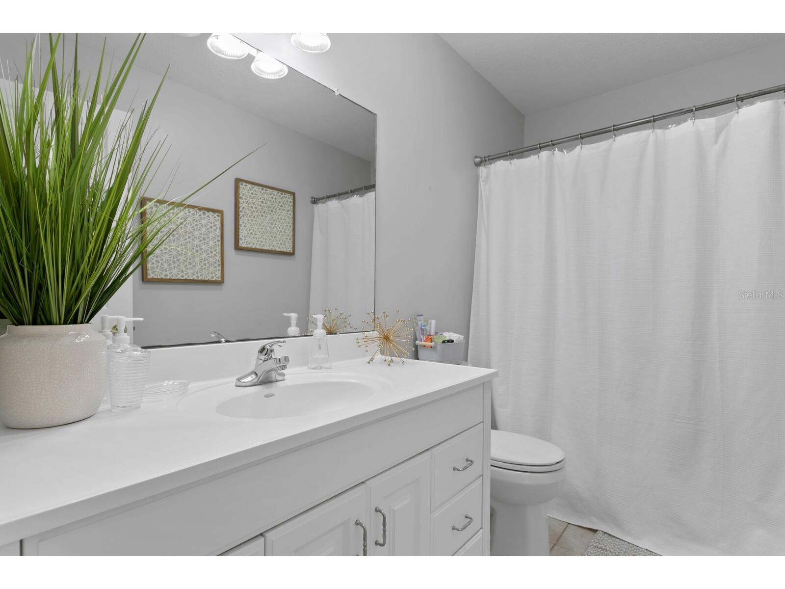 14009 Dominion Court Tampa FL 33613 O6370632 image46