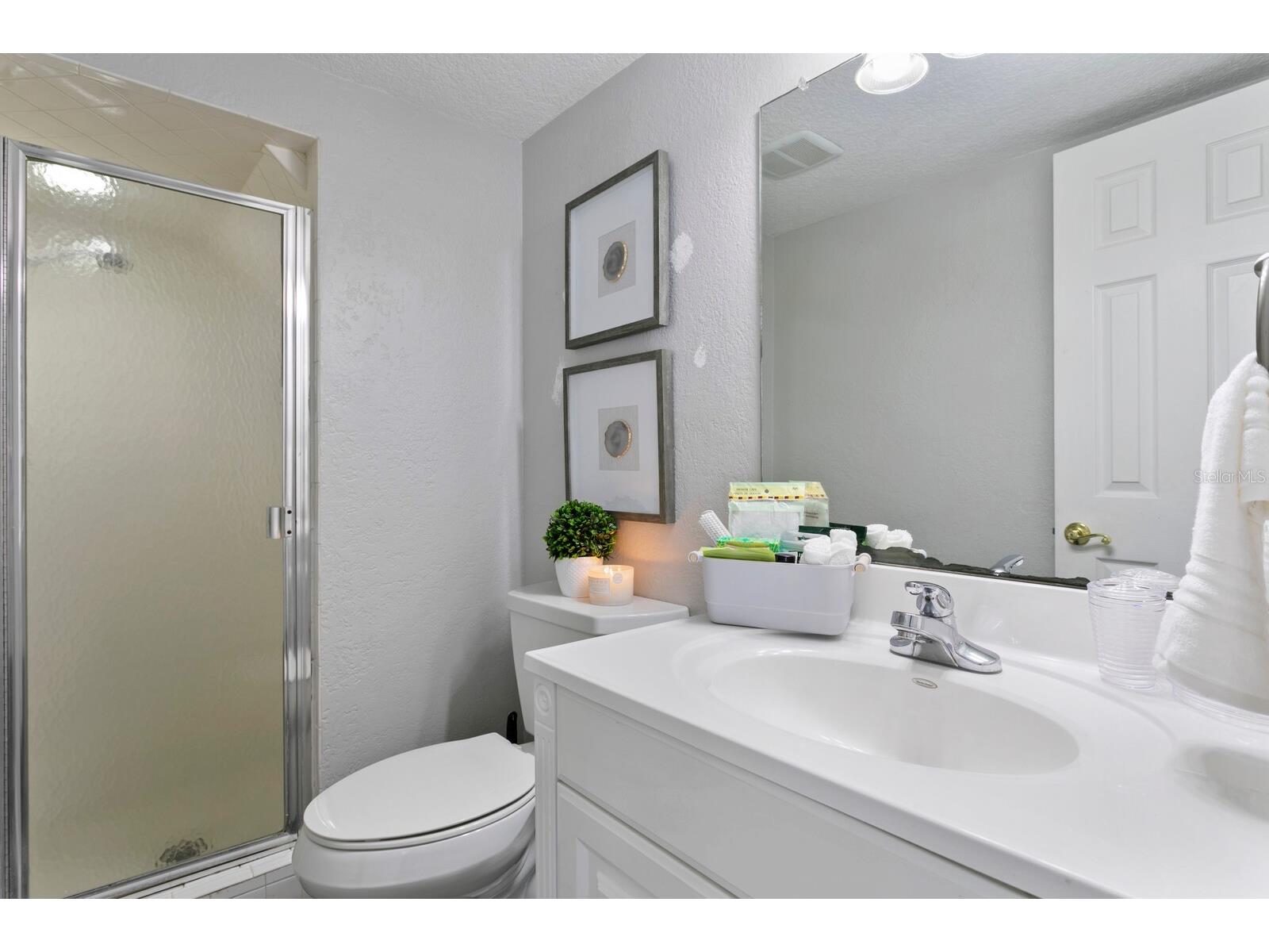 14009 Dominion Court Tampa FL 33613 O6370632 image49