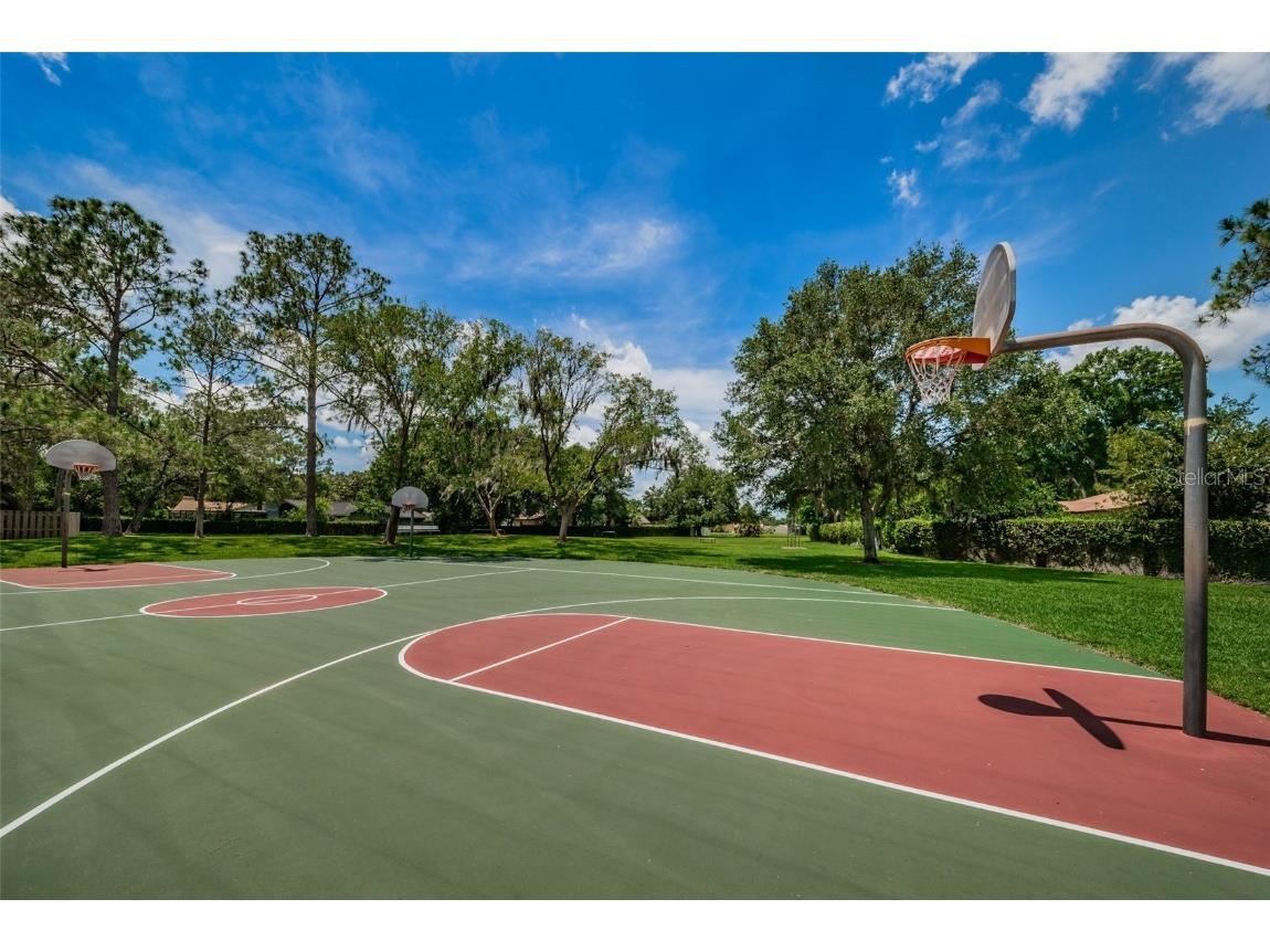 14009 Middleton Way Tampa FL 33624 TB8422211 image37