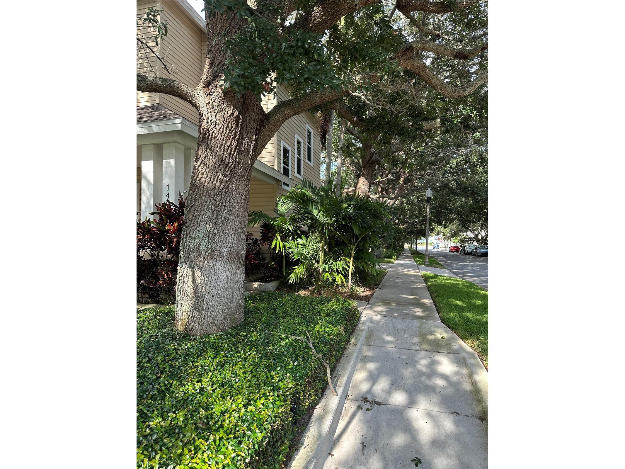 1401 5th Street N Saint Petersburg FL 33704 O6380412 image3