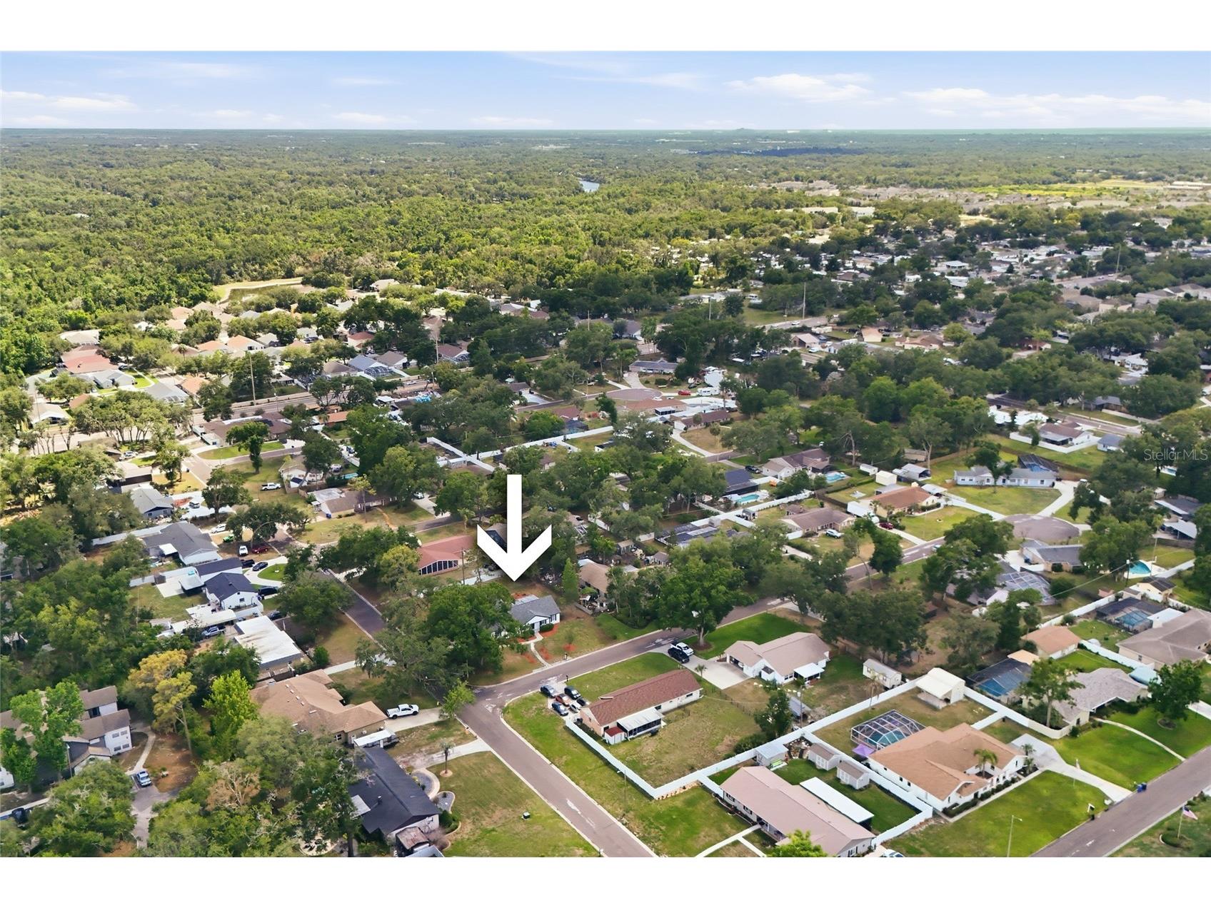 1401 Andrea Court Brandon FL 33511 TB8511371 image43