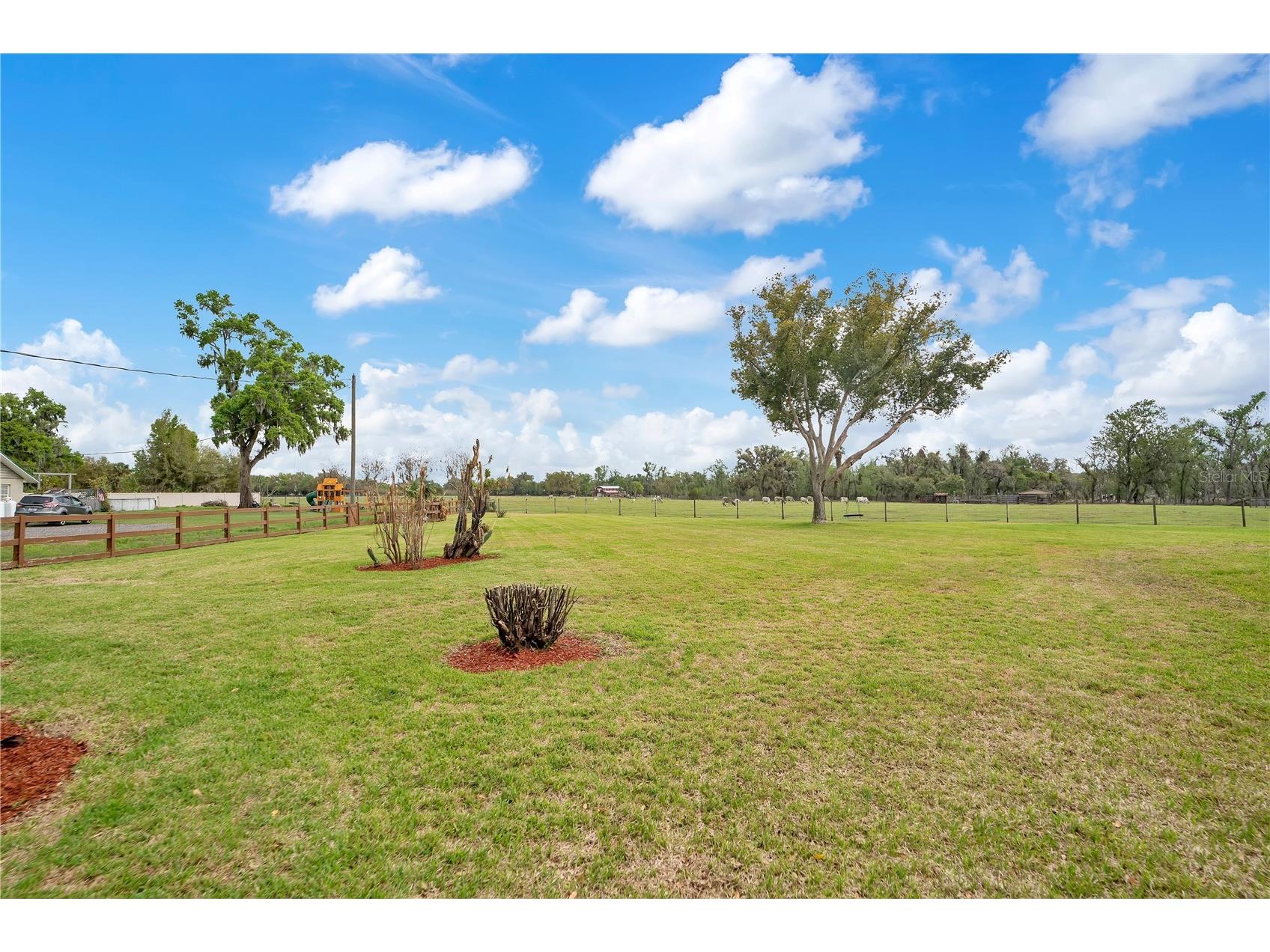 1401 Buell Court Plant City FL 33567 L4960265 image48