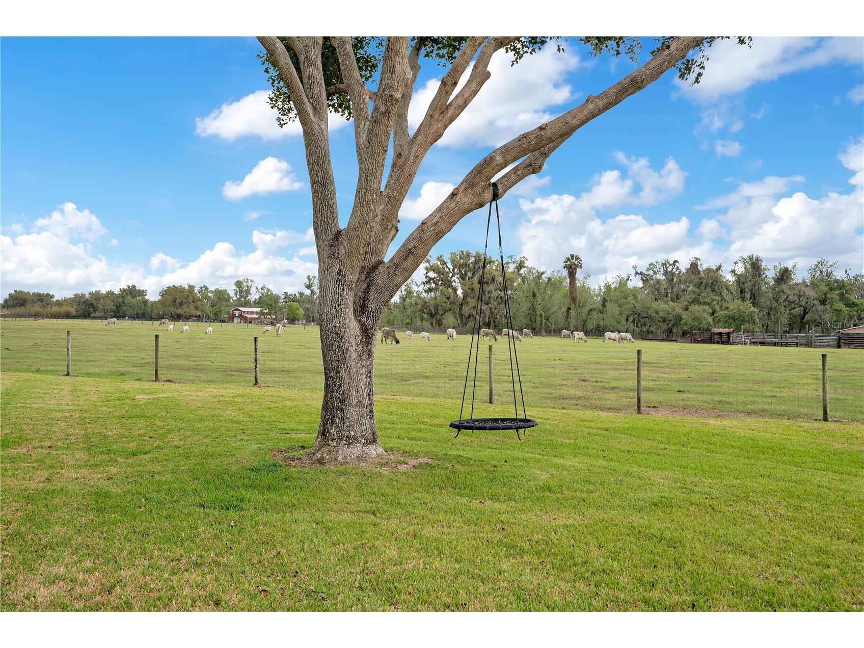 1401 Buell Court Plant City FL 33567 L4960265 image49