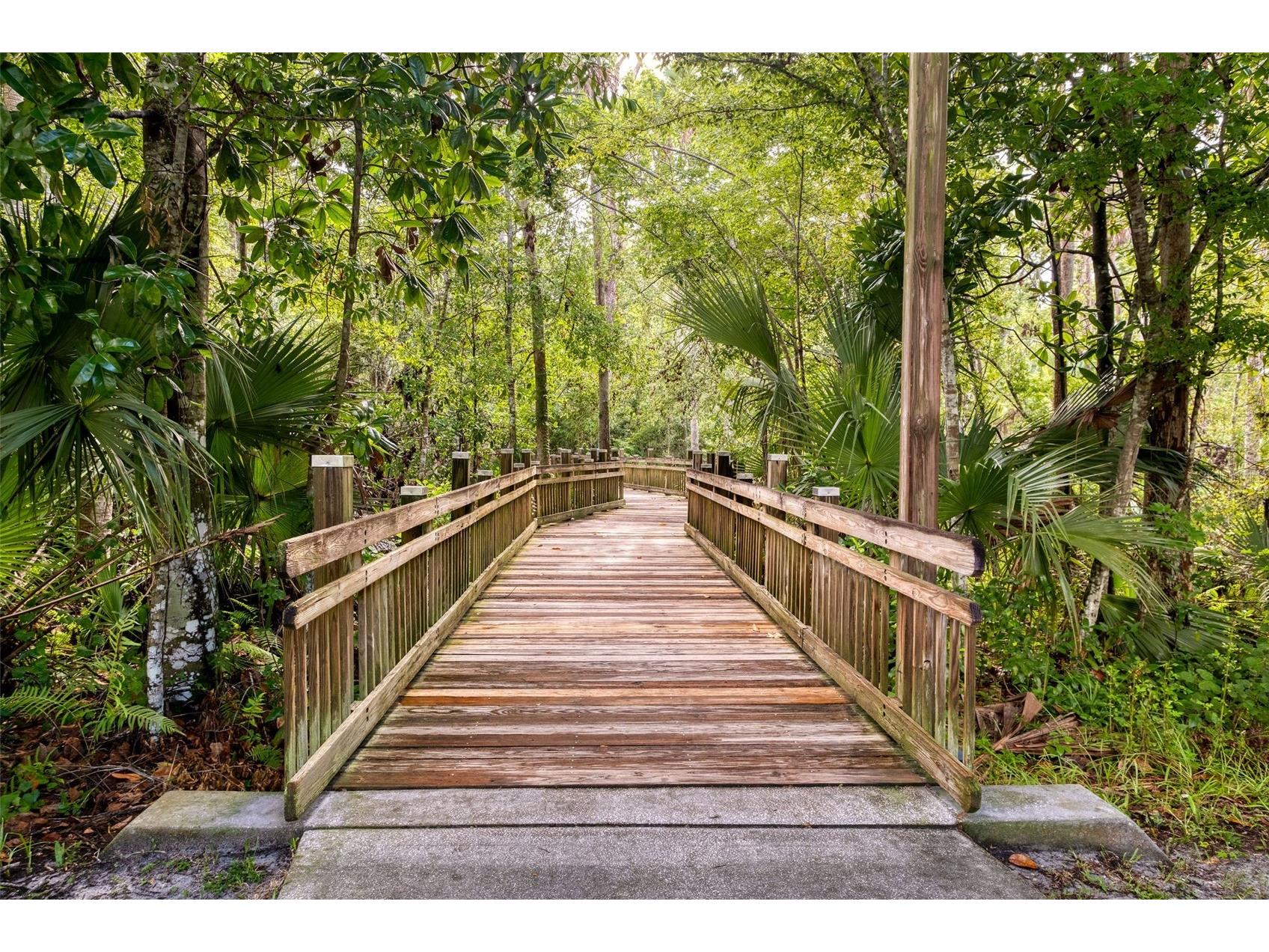 1401 Celebration Avenue #309 Celebration FL 34747 S5145980 image35