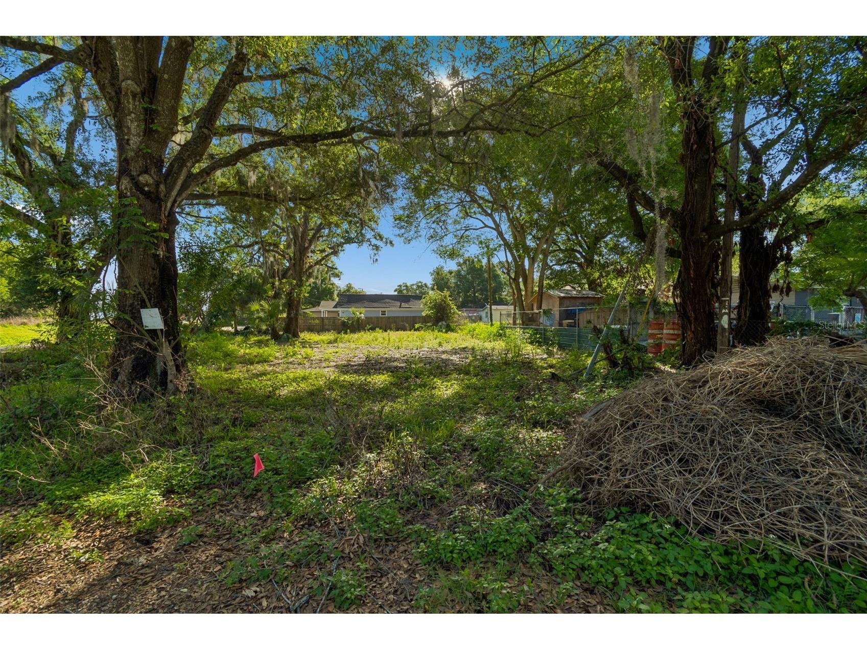 1401 Drane Street SE Plant City FL 33563 TB8493953 image8