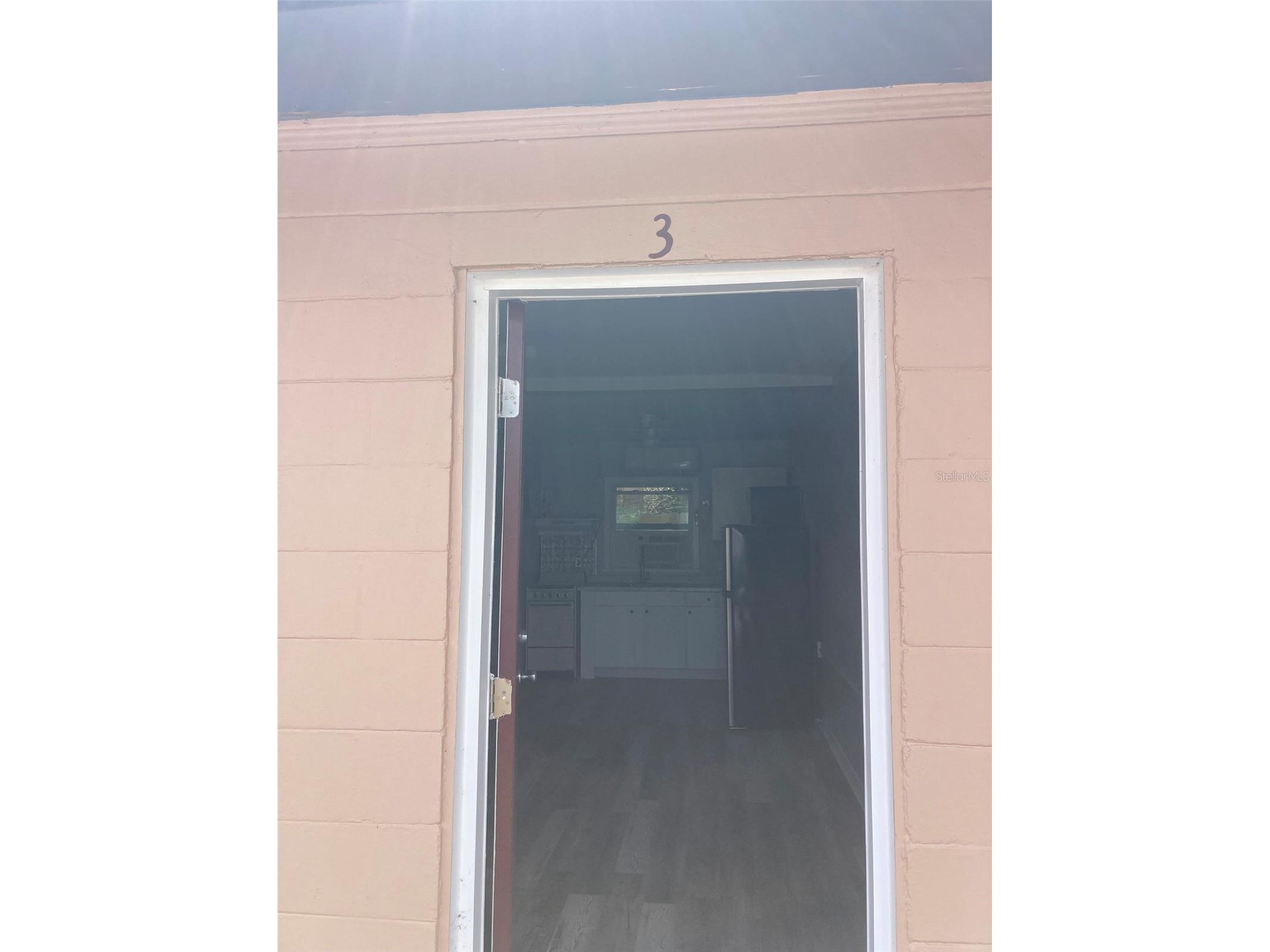 1401 E Alfred Street #3 Tavares FL 32778 G5112789 image2