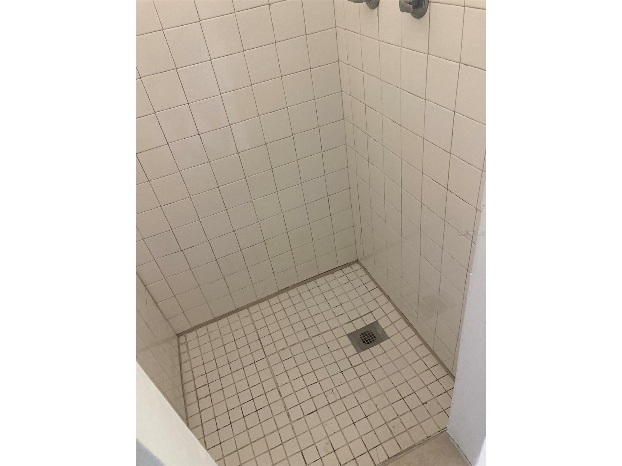 1401 E Alfred Street #3 Tavares FL 32778 G5112789 image3