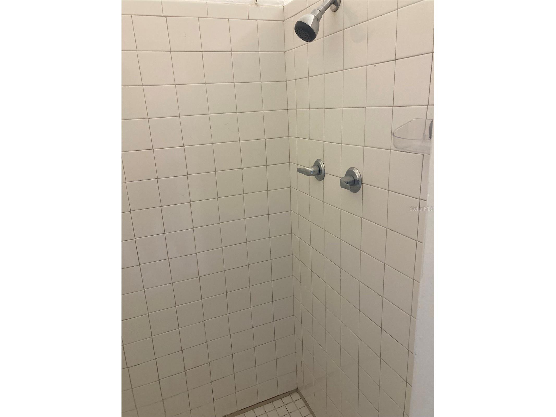 1401 E Alfred Street #3 Tavares FL 32778 G5112789 image4
