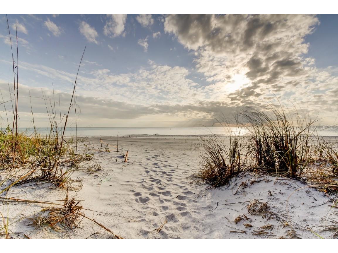 1401 Gulf Boulevard #10 Indian Rocks Beach FL 33785 TB8417236 image22