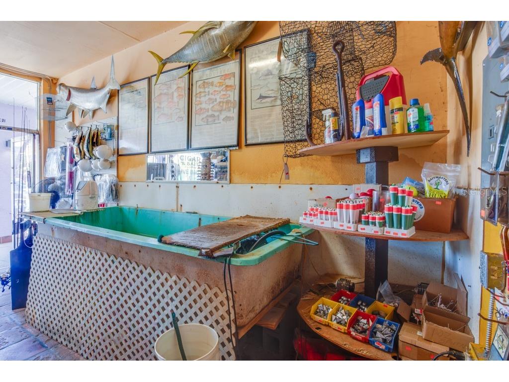 1401 Gulf Boulevard #10 Indian Rocks Beach FL 33785 TB8417236 image6