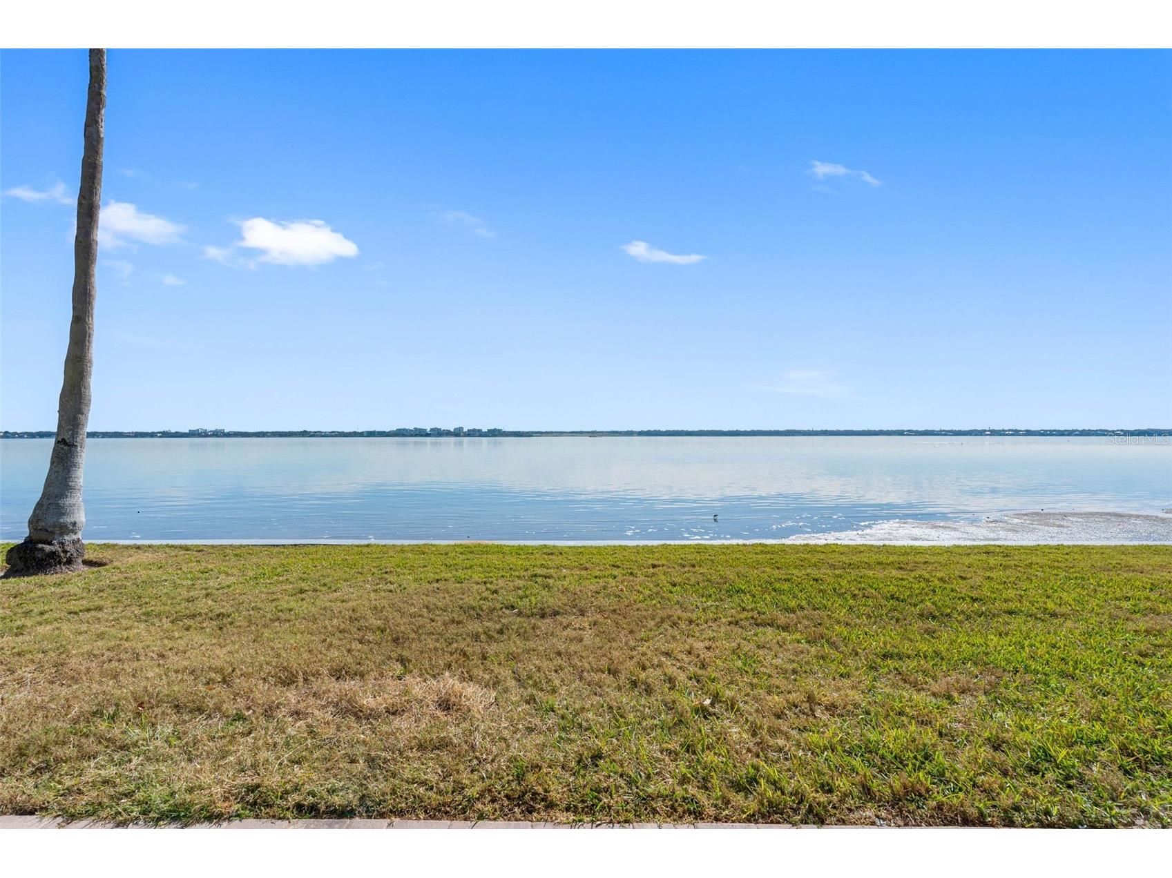 1401 Gulf Boulevard #111 Clearwater Beach FL 33767 TB8471938 image8