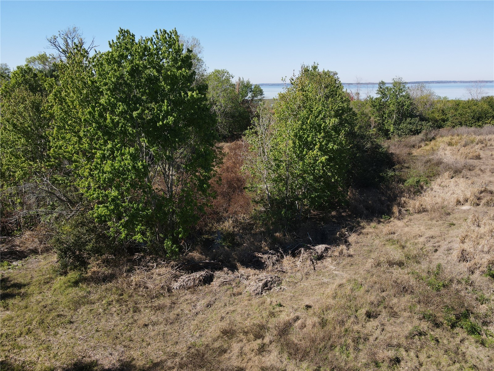 1401 N Fullers Cross Road Oakland FL 34787 O6385497 image10