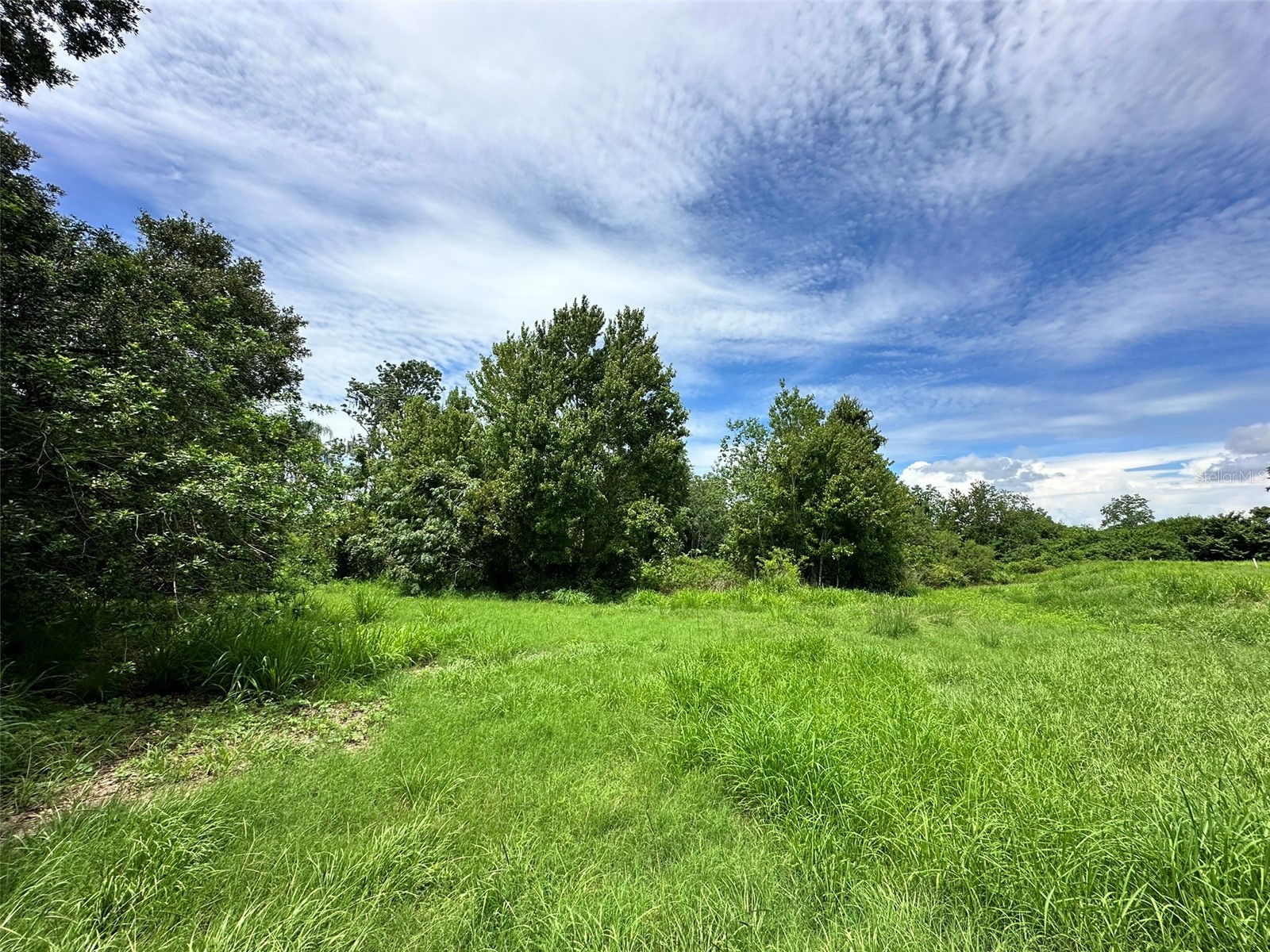 1401 N Fullers Cross Road Oakland FL 34787 O6385497 image7