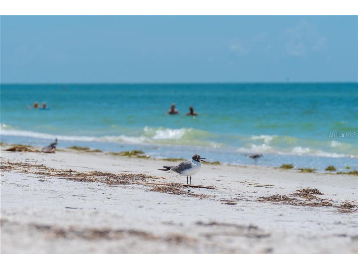 1401 Pass A Grille Way Saint Pete Beach FL 33706 - PASS A GRILLE CHANNEL TB8421019 image25