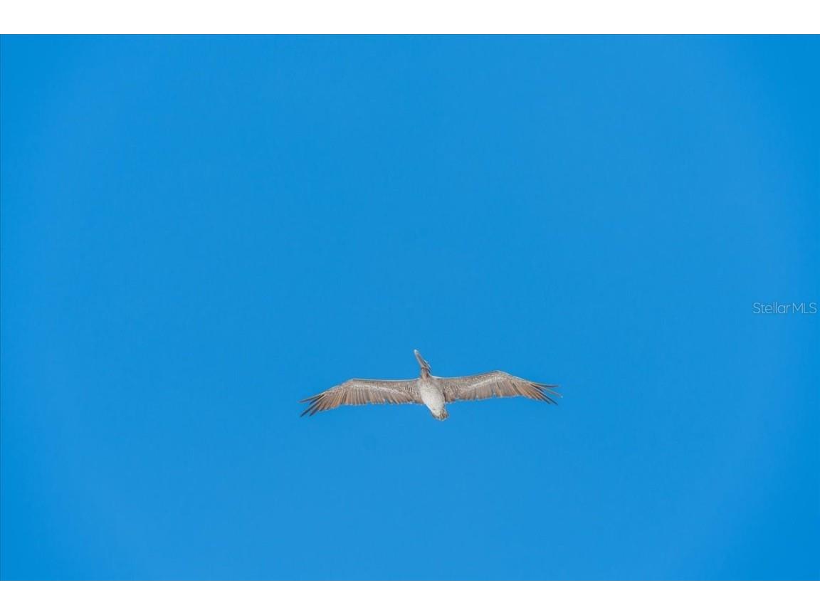 1401 Pass A Grille Way Saint Pete Beach FL 33706 - PASS A GRILLE CHANNEL TB8421019 image27