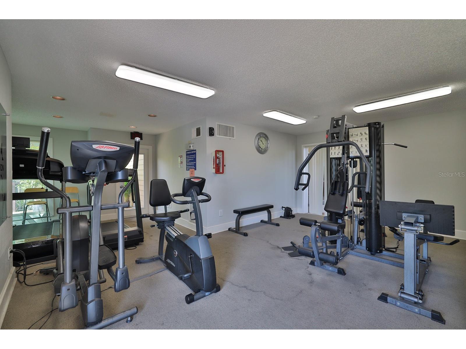 1401 S Palmetto Avenue #616 Daytona Beach FL 32114 V4949121 image31