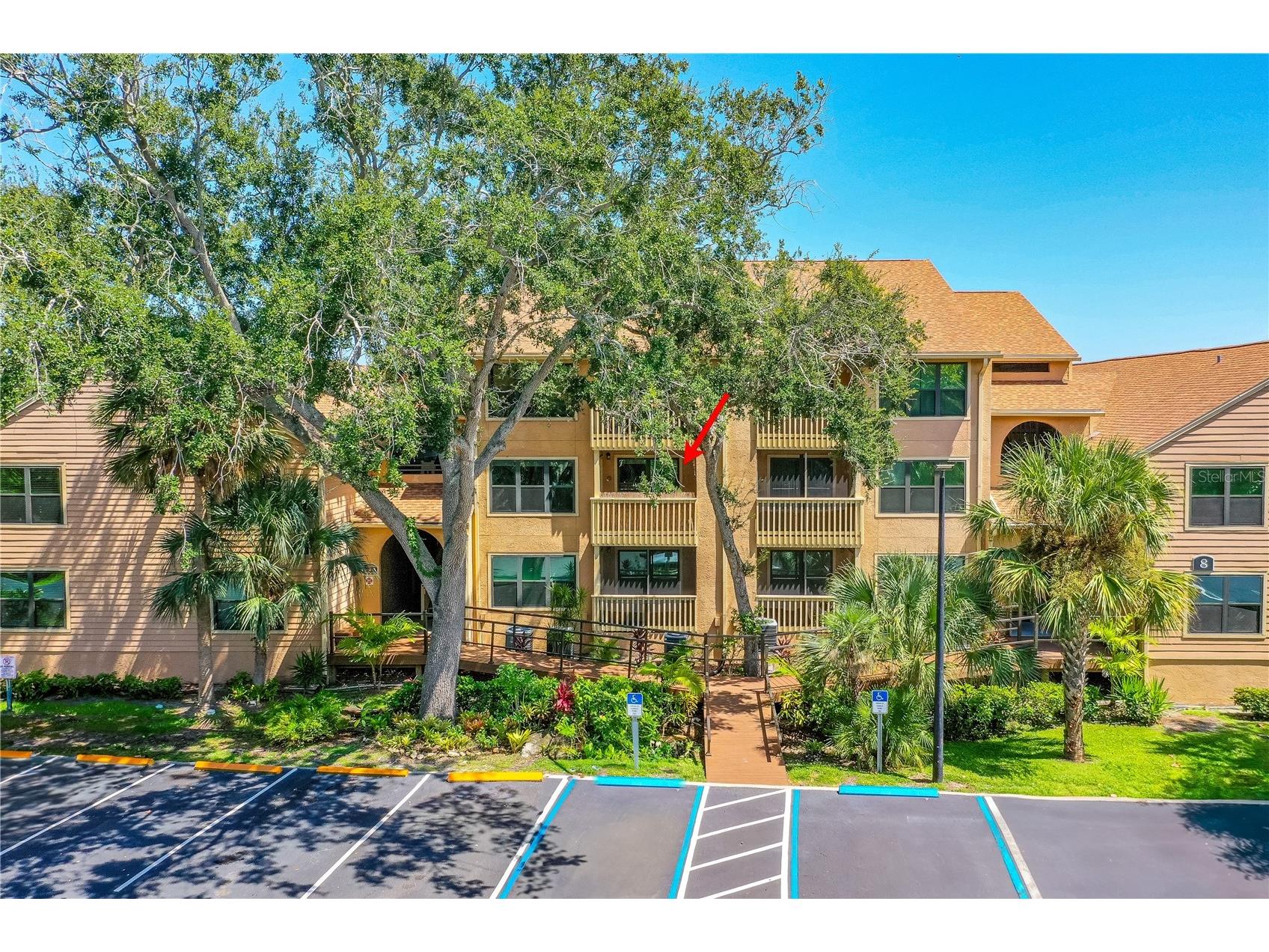 1401 S Palmetto Avenue #807 Daytona Beach FL 32114 NS1086013 image1