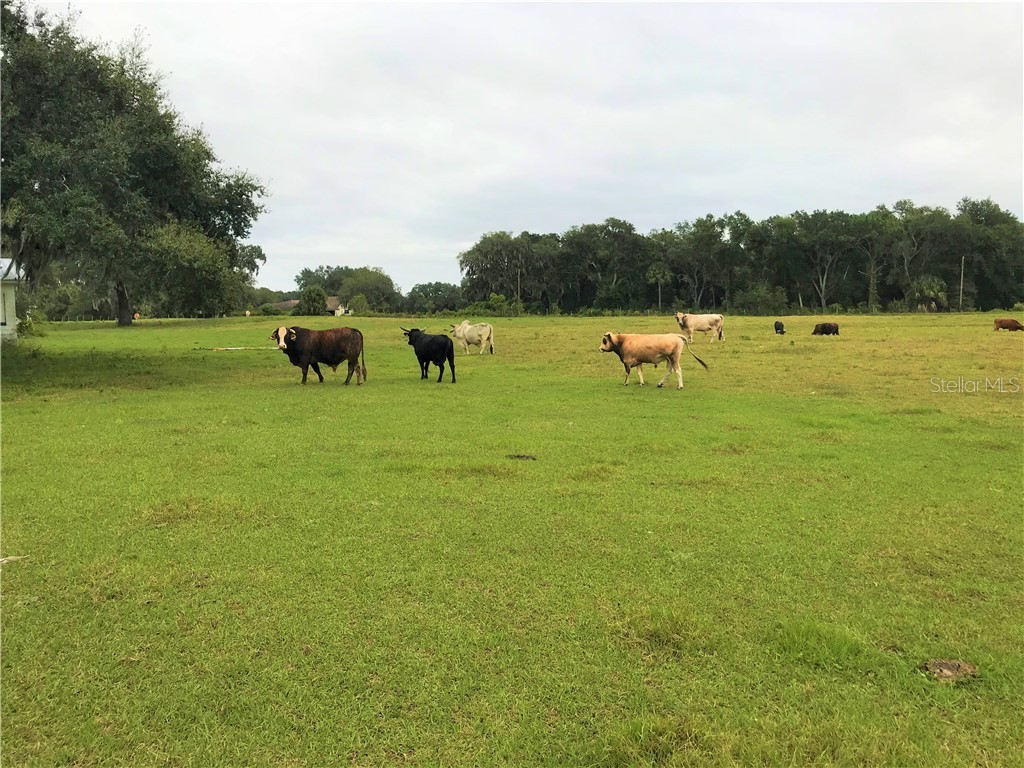 1401 State Road 44 Leesburg FL 34748 G5023066 image14