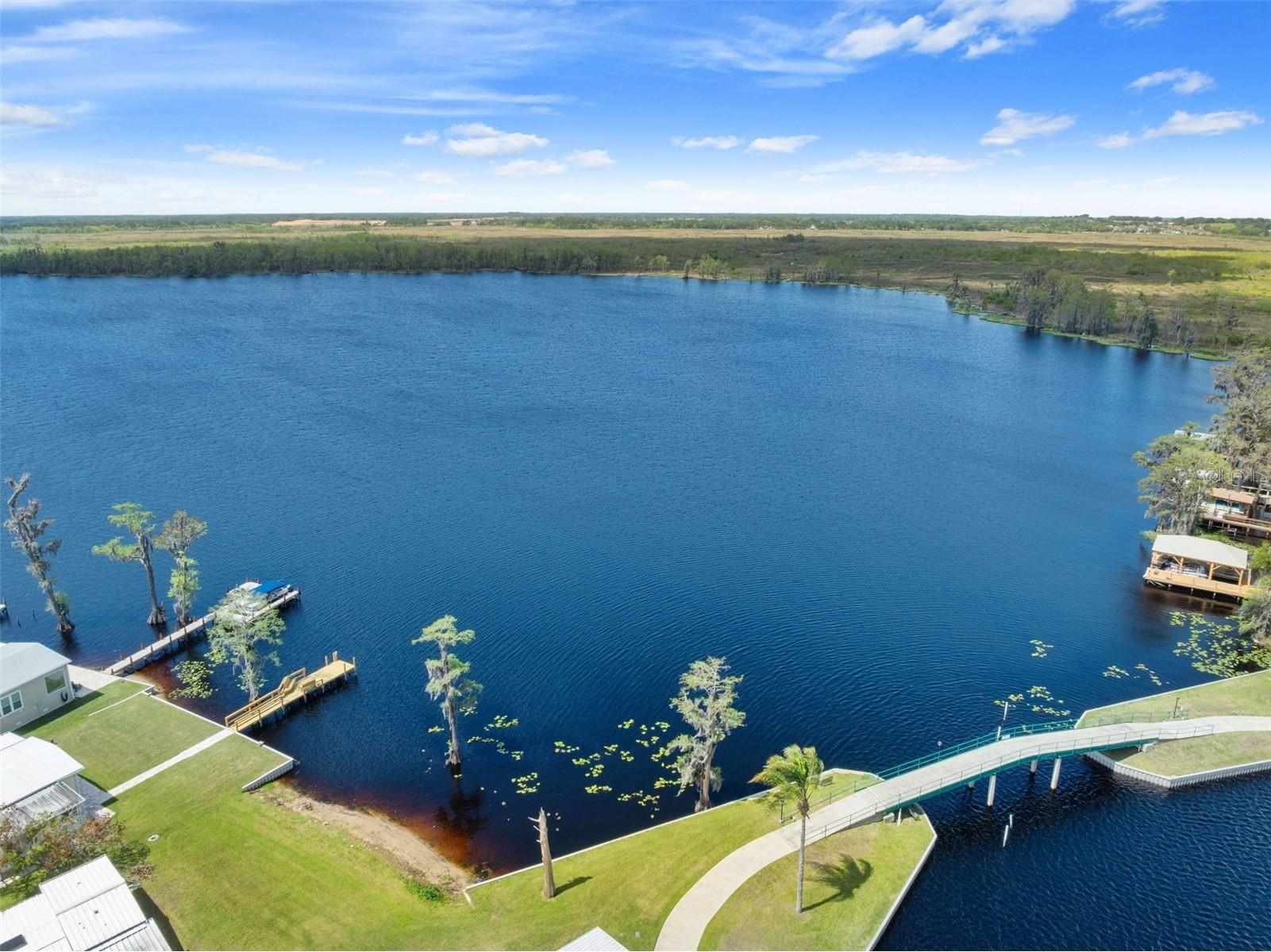 1401 W Highway 50 #45 Clermont FL 34711 O6398365 image19