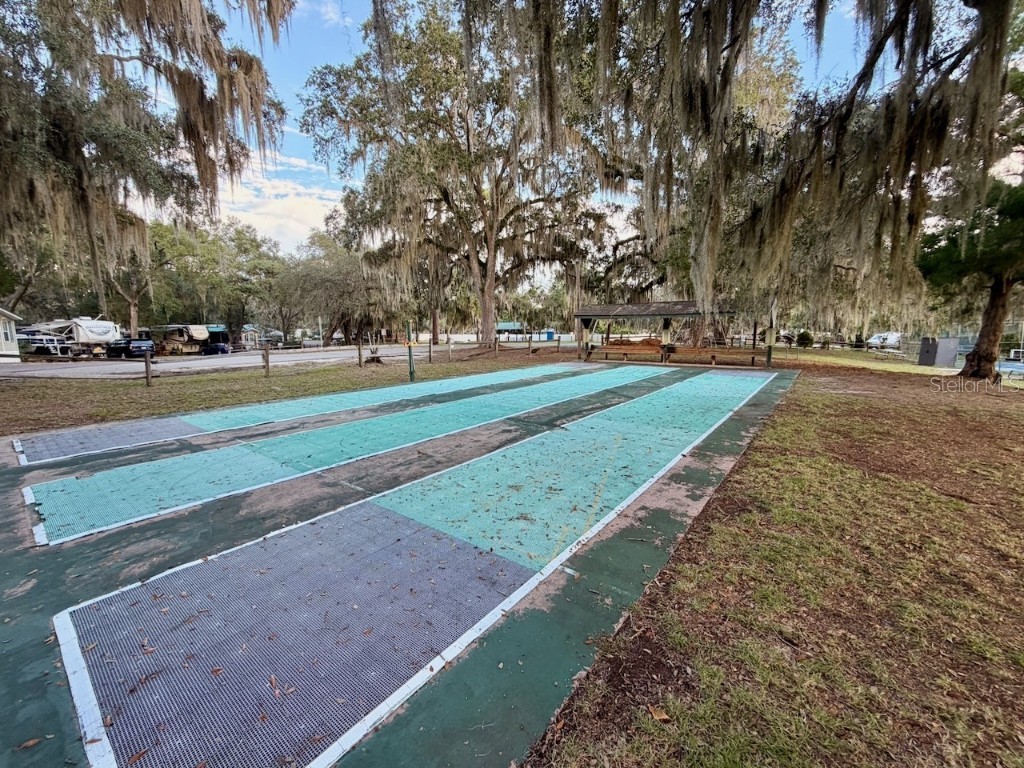 14010 NE 250th Circle Salt Springs FL 32134 OM710422 image35