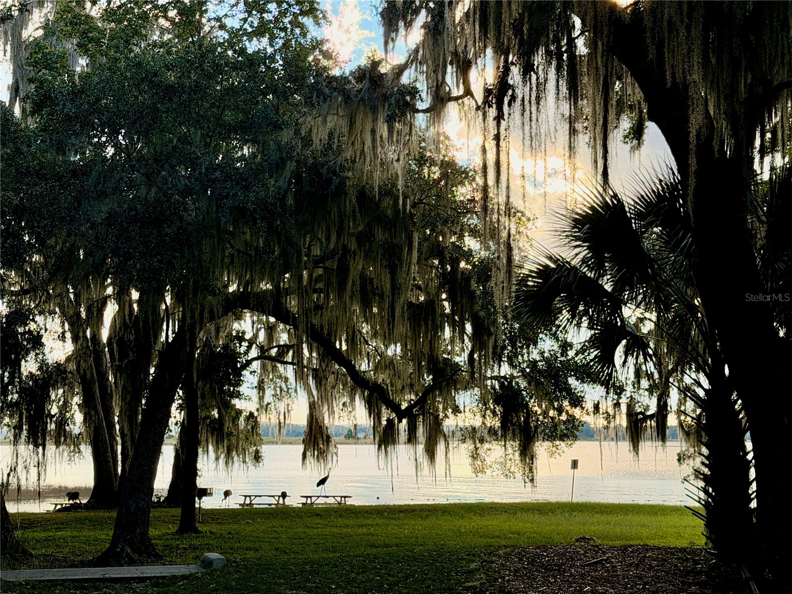 14010 NE 250th Circle Salt Springs FL 32134 OM722030 image38