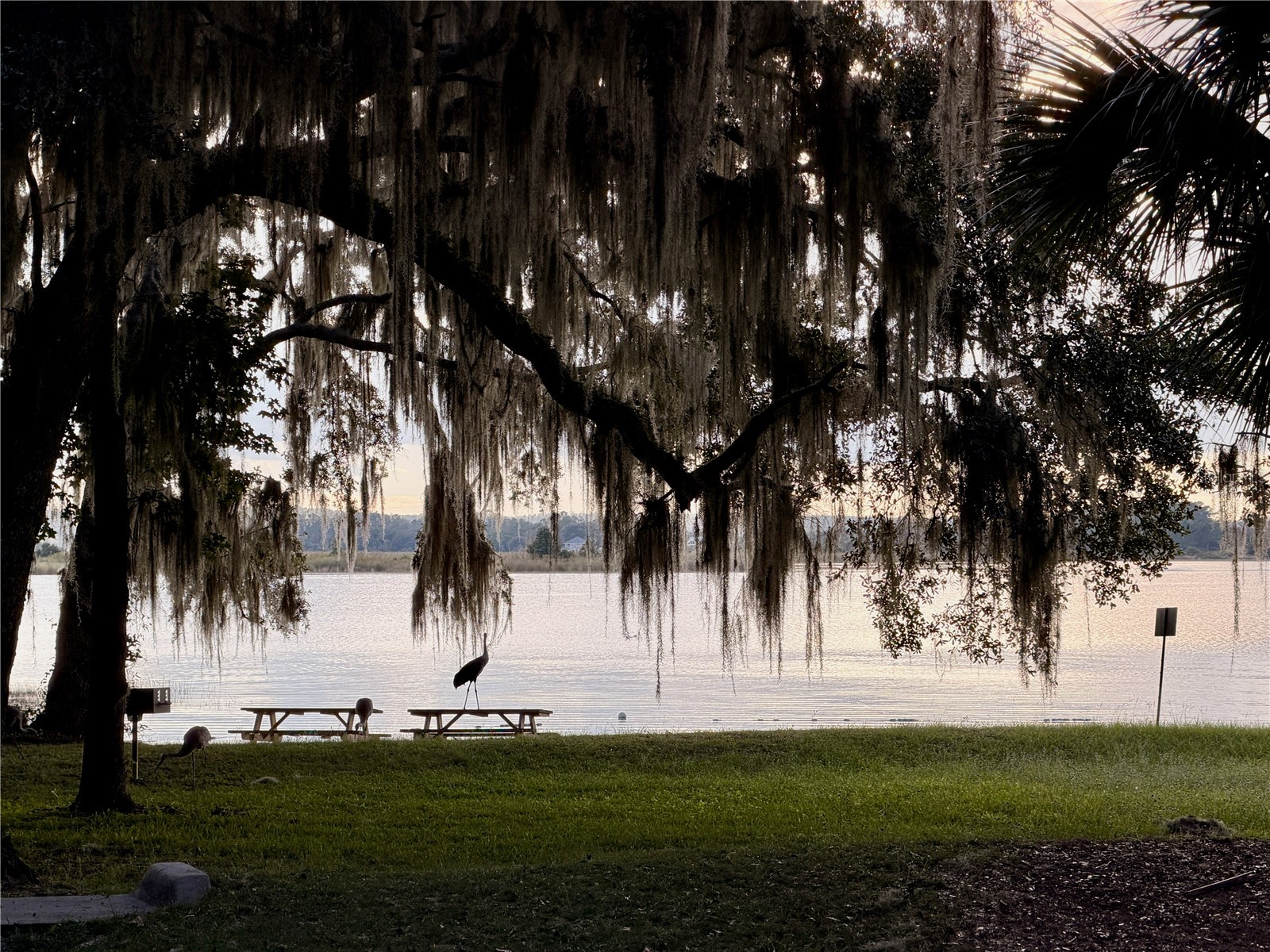 14010 NE 250th Circle Salt Springs FL 32134 OM722030 image39