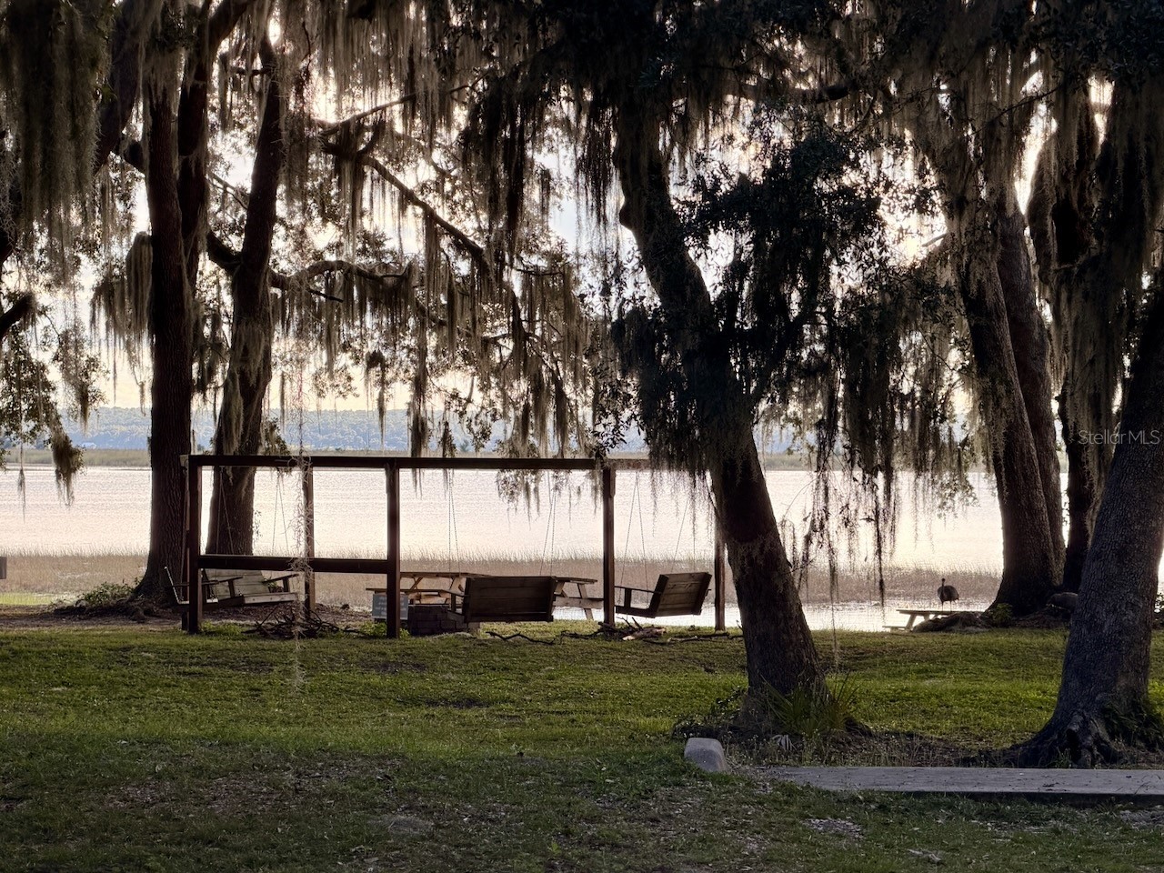14010 NE 250th Circle Salt Springs FL 32134 OM722030 image40
