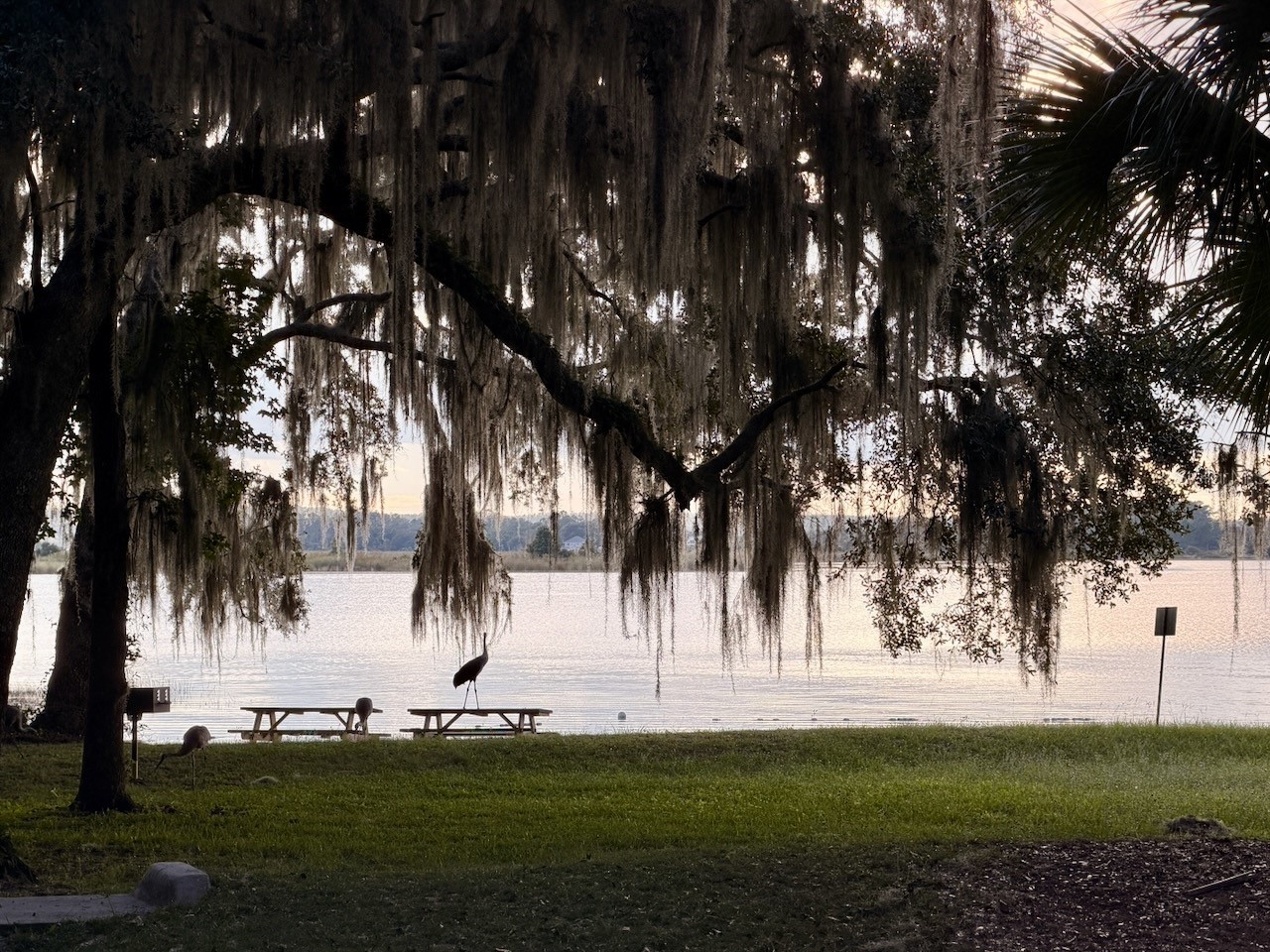 14010 NE 250th Circle Salt Springs FL 32134 OM722030 image41