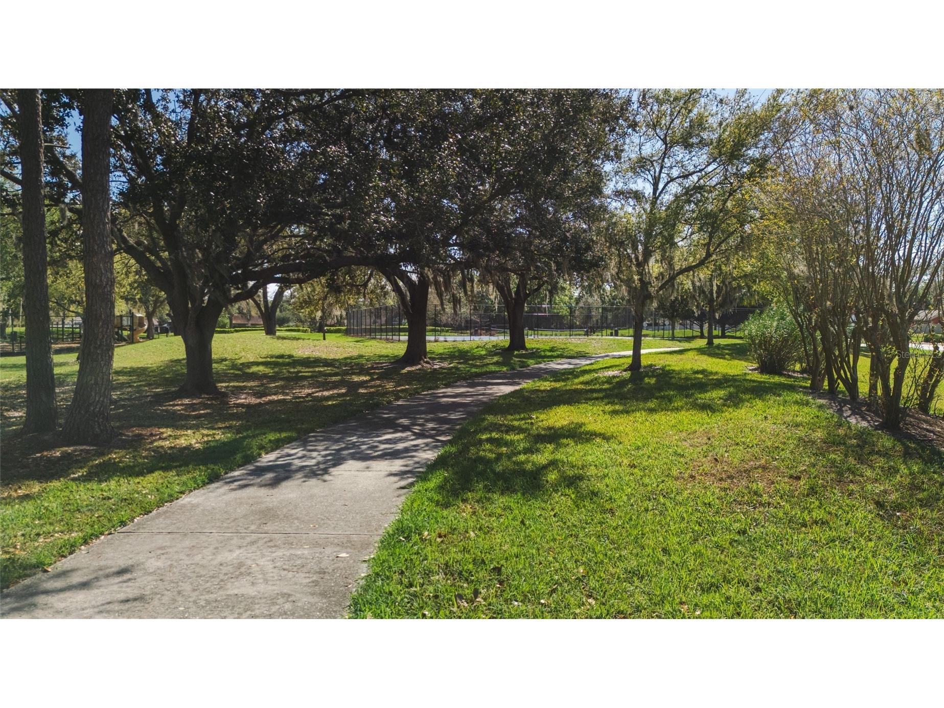 14011 Notreville Way Tampa FL 33624 TB8486963 image43