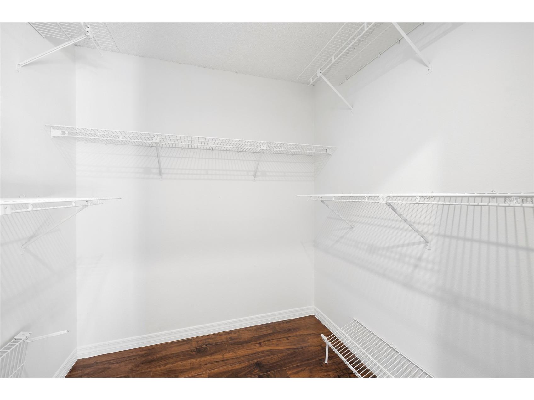 14011 Wolcott Drive Tampa FL 33624 TB8529329 image34