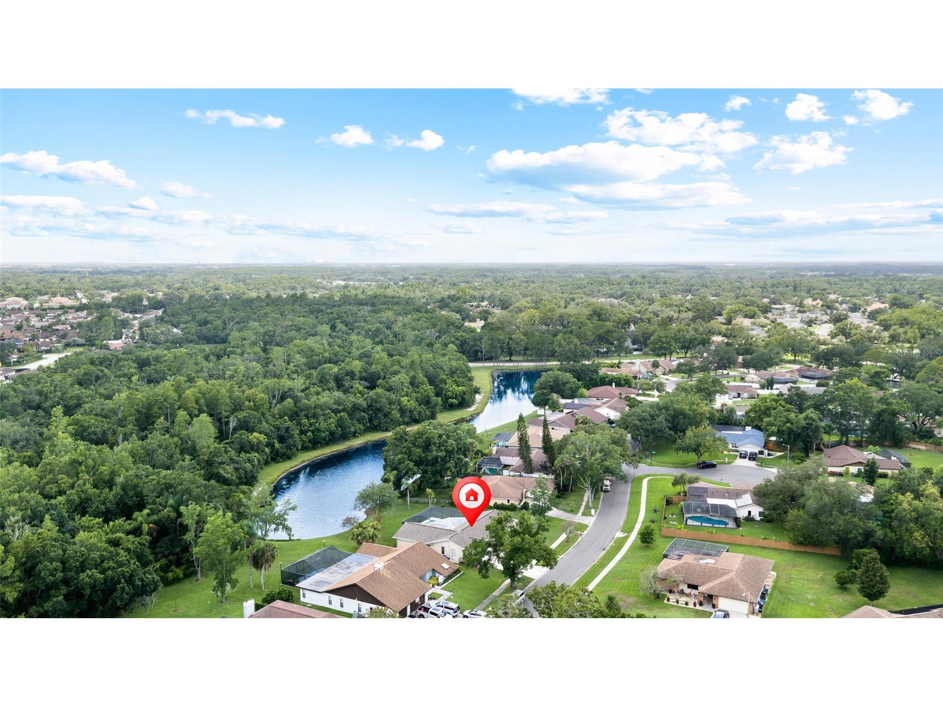 14011 Wolcott Drive Tampa FL 33624 TB8529329 image5