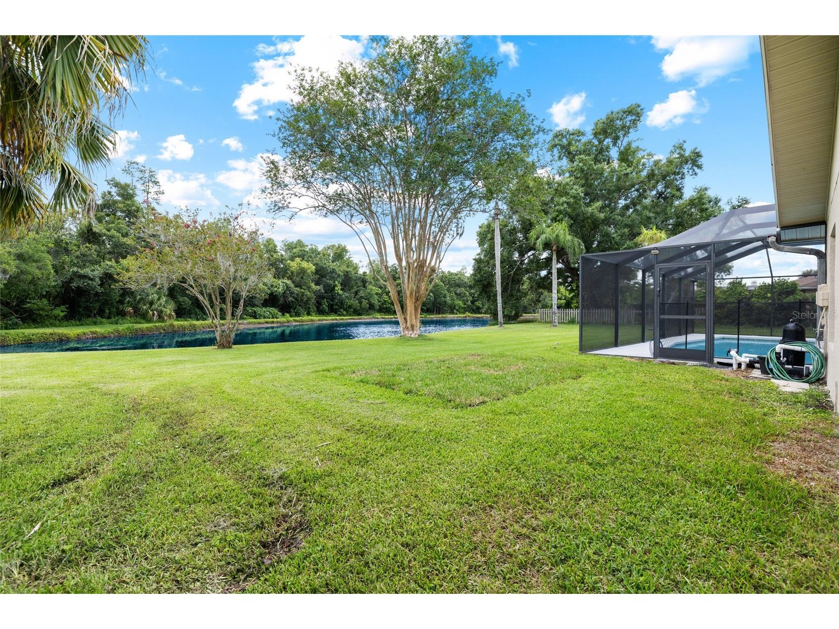 14011 Wolcott Drive Tampa FL 33624 TB8529329 image54