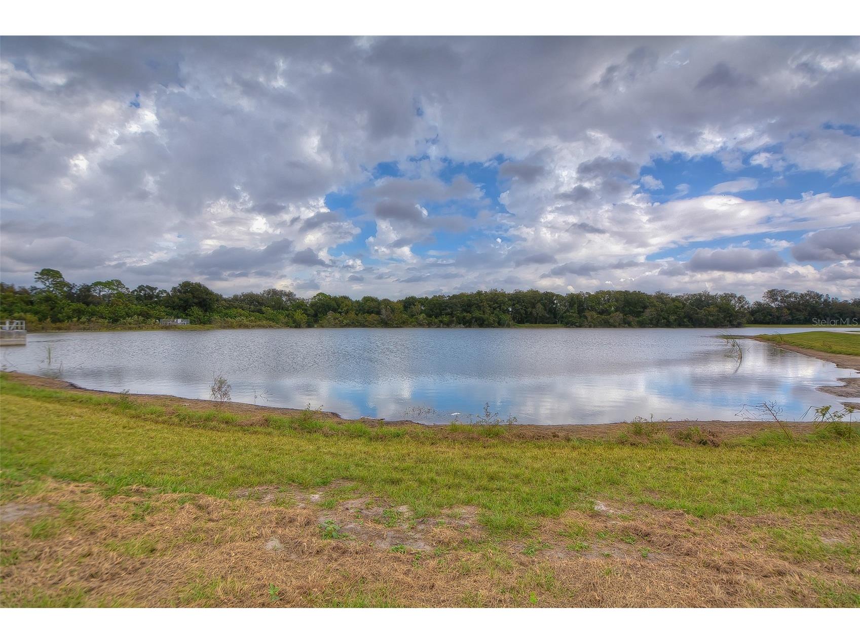 14011 Wolcott Drive Tampa FL 33624 TB8529329 image63