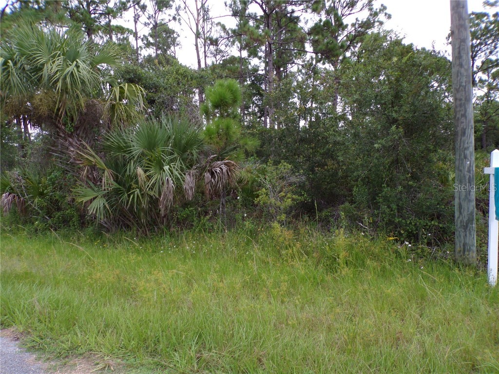 14012 Carrie Avenue Port Charlotte FL 33953 C7514498 image6