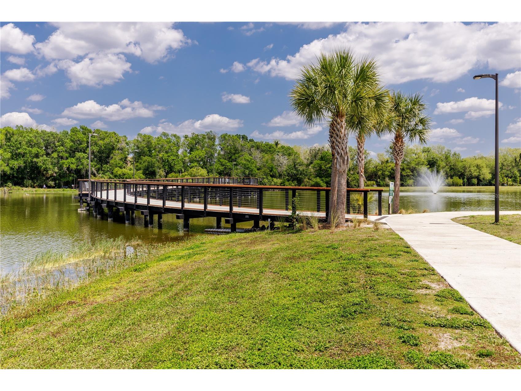 14012 Cascade Lane Tampa FL 33618 TB8479309 image50