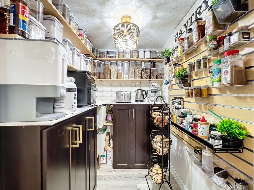 14013 Bramble Bush Court Orlando FL 32832 V4937943 image21