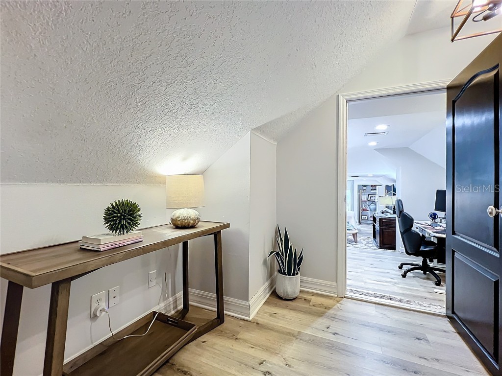 14013 Bramble Bush Court Orlando FL 32832 V4937943 image53