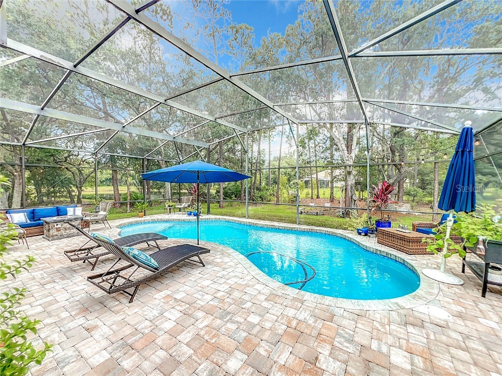 14013 Bramble Bush Court Orlando FL 32832 V4937943 image72