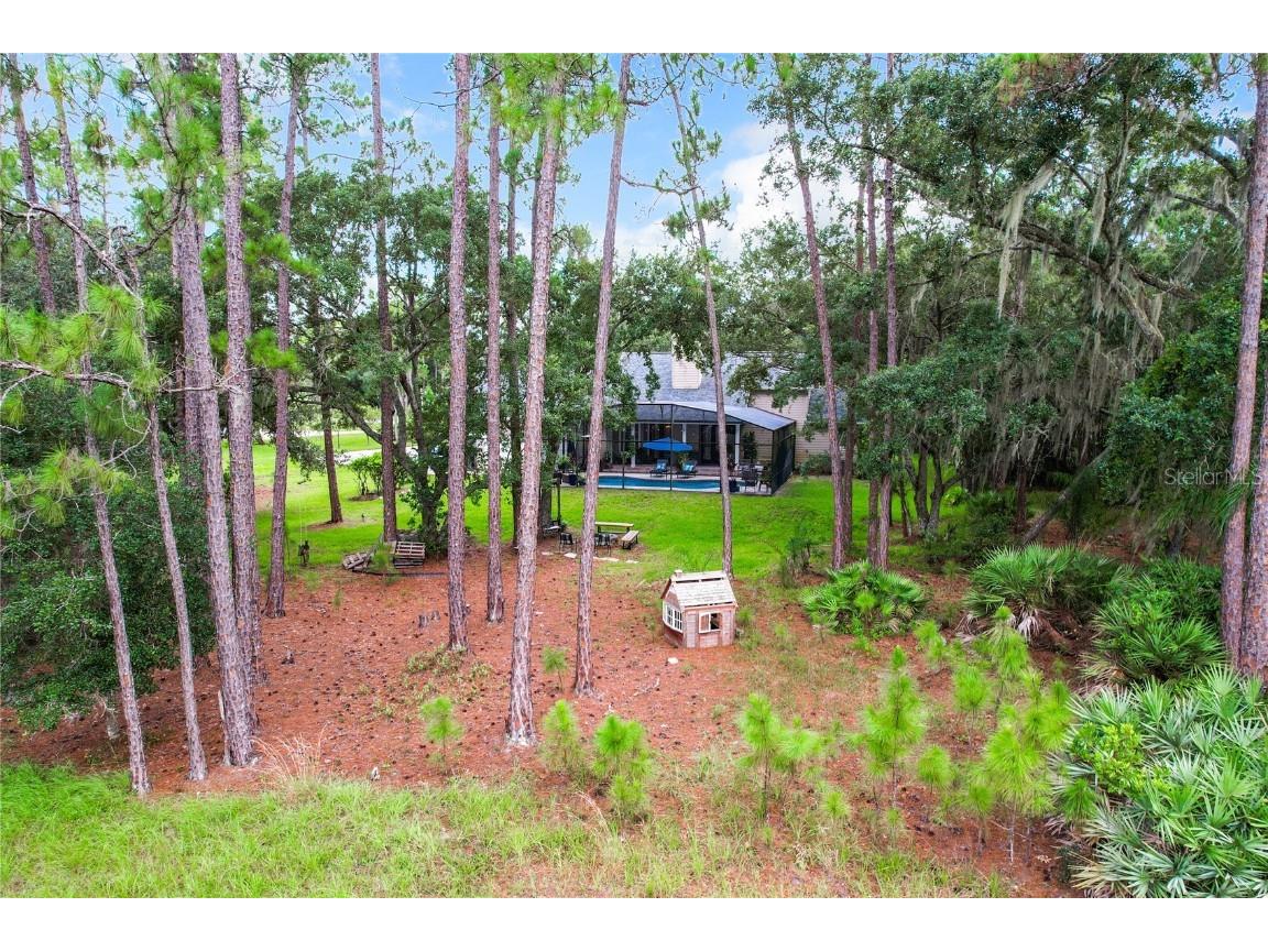 14013 Bramble Bush Court Orlando FL 32832 V4937943 image90