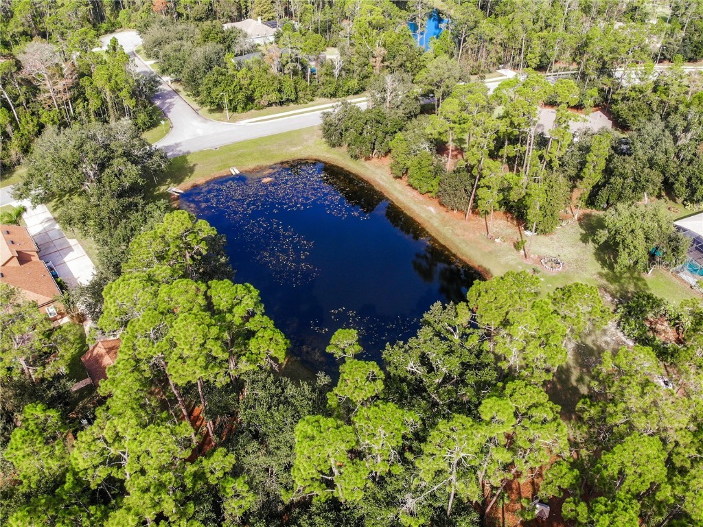 14013 Bramble Bush Court Orlando FL 32832 V4937943 image91