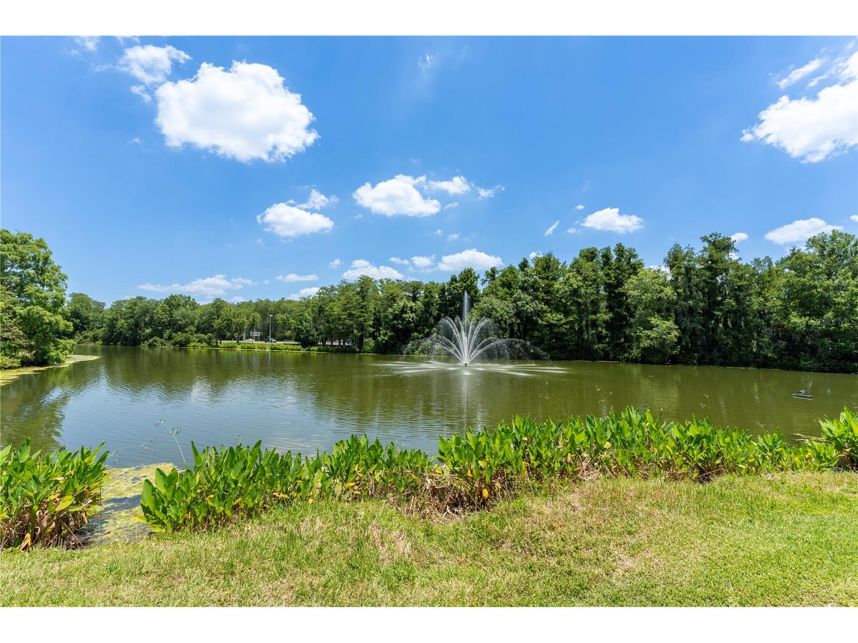 14013 Fairway Island Drive #426 Orlando FL 32837 O6408848 image41