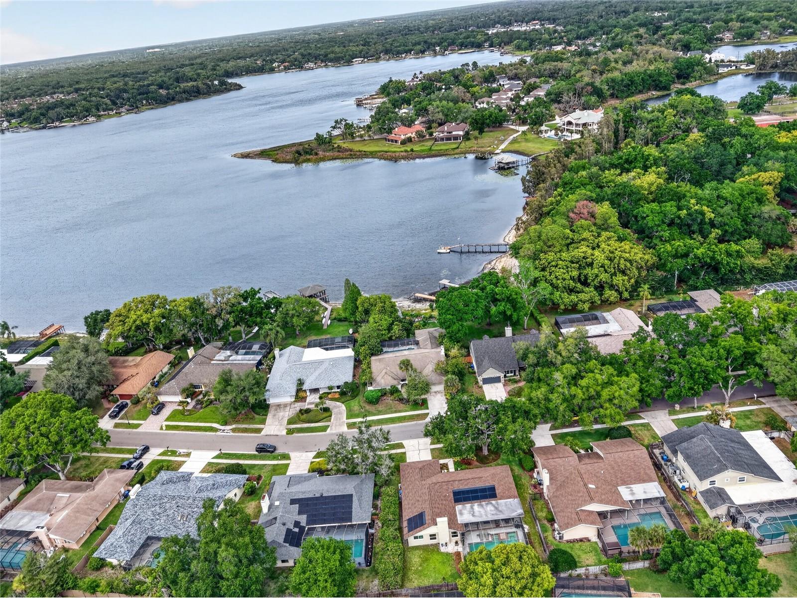 14013 Shady Shores Drive Tampa FL 33613 TB8495114 image60